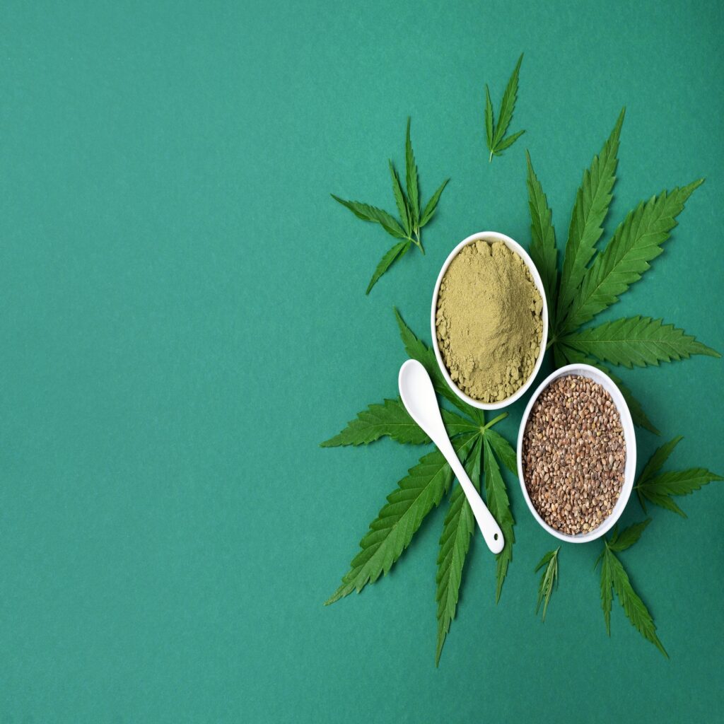 Hemp products - cannabis leaves, seeds, hemp protein powder, flour on green background. Top view